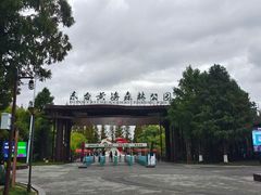 -黄海国家森林公园