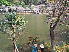 -星湖旅游景区七星岩