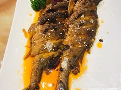 -碧丽宫大酒店(召稼楼店)