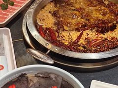 -一斗火锅·招财羊毛肚(北温泉九号店)