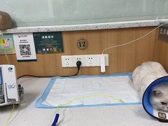 -联合动物医院(光谷诊疗中心)
