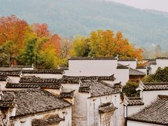 -塔川景区