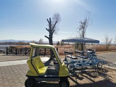 -野鸭湖国家湿地公园