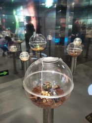 -七巧国萌宠乐园(龙湖天街店)