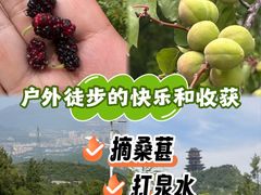 -定都阁