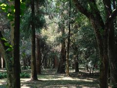 -杭州植物园