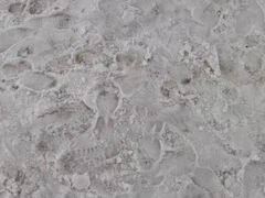 -沈阳奥体冰雪嘉年华