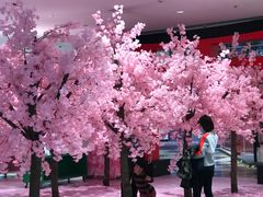 -新世界百货(顺义店)