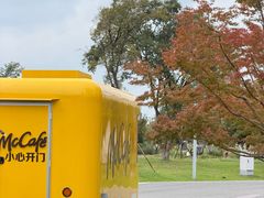 -东方体育中心(地铁站)