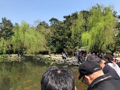 -西湖外事游船(花港观鱼码头)