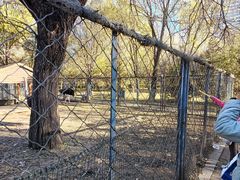 -长白岛森林公园