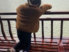 -长兴太湖图影湿地文化园
