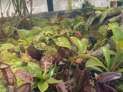 -国家植物园南园