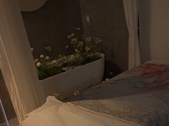 -小仙女采耳·按摩·SPA(深圳旗舰店)