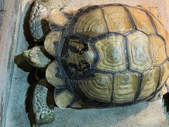 -顺德南宏海立方海洋公园