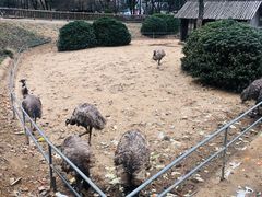 -无锡动物园·太湖欢乐园
