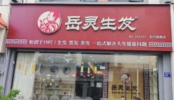-岳灵生发养发馆