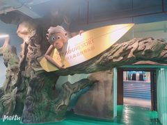 -杭州开元森泊度假乐园