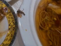 android_upload_pic-19号私房菜(云南路店)