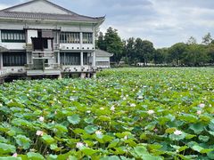-荔湾湖公园