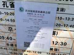 -西双版纳原始森林公园