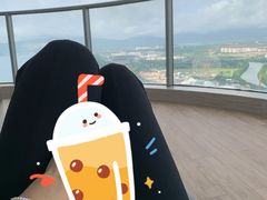 -瑰丽酒店·海吧·天际下午茶·现场DJ·天台酒吧