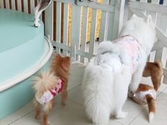 -怪兽屋·羊驼·猫咖·狗咖(俊华广场店)