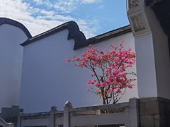 -乌山风景区