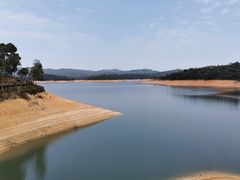 -广州市流溪河国家森林公园