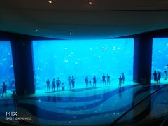 景观位-亚特兰蒂斯•OSSIANO奥西亚诺海底餐厅