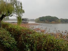 -上海市保健医疗中心