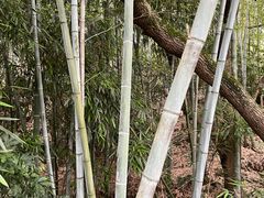 -福道