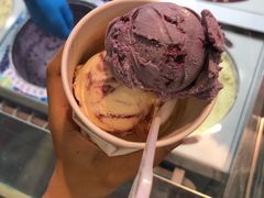 薰衣草蓝莓-哈根达斯(天河城店)