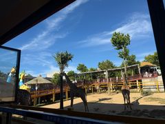 -西霞口神雕山野生动物世界