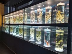 -广东中医药博物馆