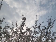 -陶然亭公园