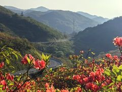 -大围山国家森林公园