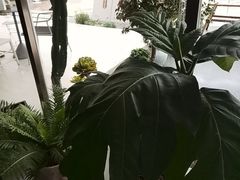 -喜茶(珠海华发商都店)