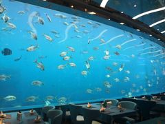 大堂-瑞德姆美人鱼海底演艺主题餐厅(亚龙湾店)