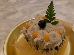 -野草莓自由市场