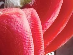 -和创柚子·会席日本料理(新区淮海街店)