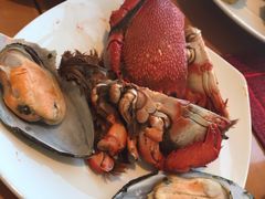 -视界美食自助餐厅·石家庄希尔顿酒店