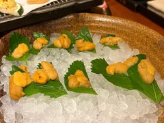-月龍吟(朝龙汇店)