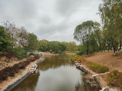 -大兴滨河森林公园