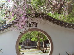 -深圳国际园林花卉博览园