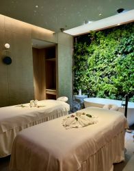 -VELEE·SPA高定疗愈会所