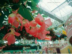 -广州花之恋城堡酒店
