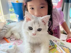 -良伴无忧宠物医院(泰欣嘉园店)