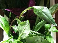 -滇釜火锅·能喝汤的火锅(车公庄店)