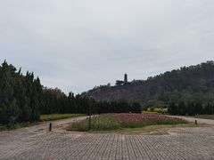 -南沙蒲洲花园